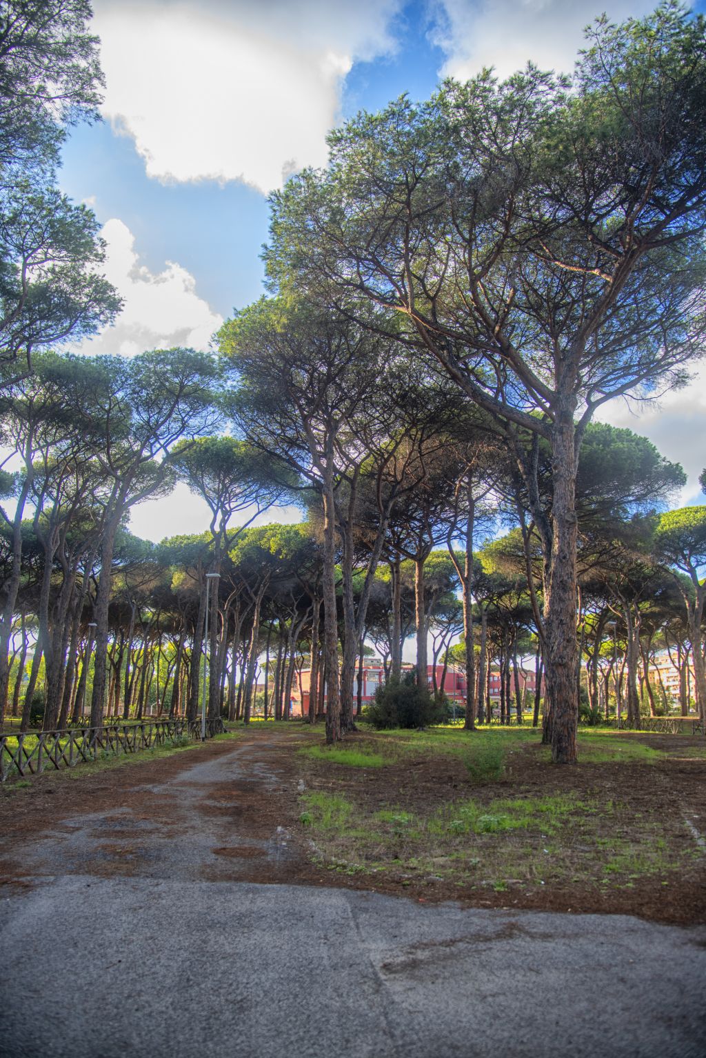 Viale Ernesto Orrei, la strada che non si arrende